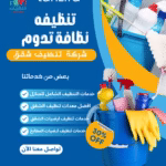 tanzifa cleaning homes